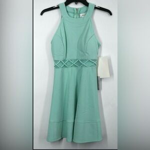 Love, Nickie Lew Woman Small Mint Green Dress!